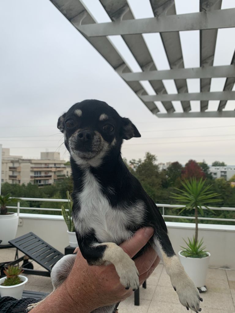 Tina Du Parc Bordelais