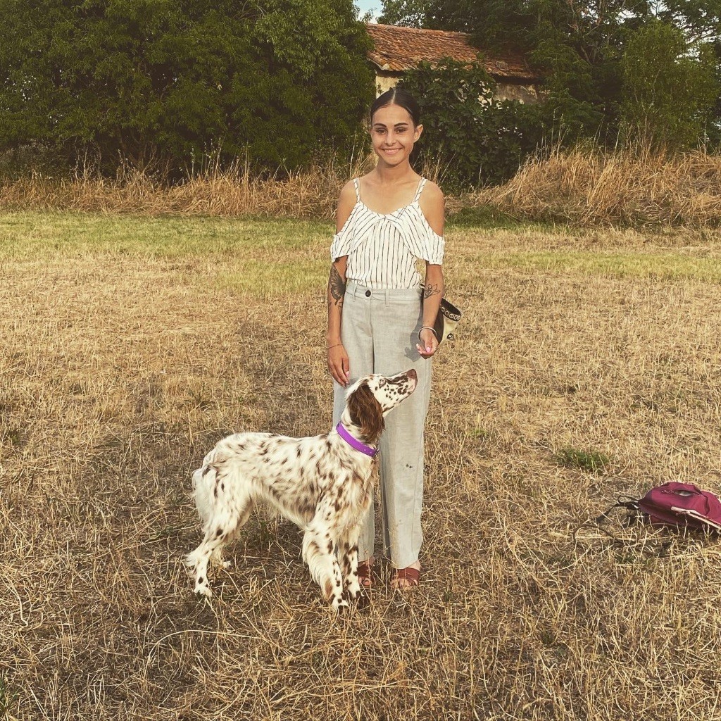 Les Setter Anglais de l'affixe   Du Clos De L'Esquielle