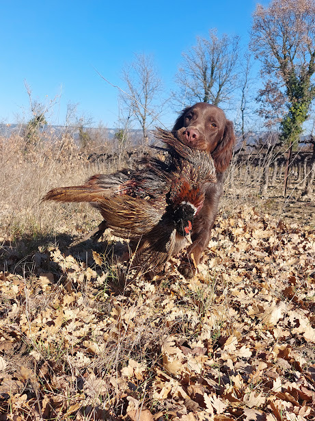 Upper Des Nobles Terres Notre Dame