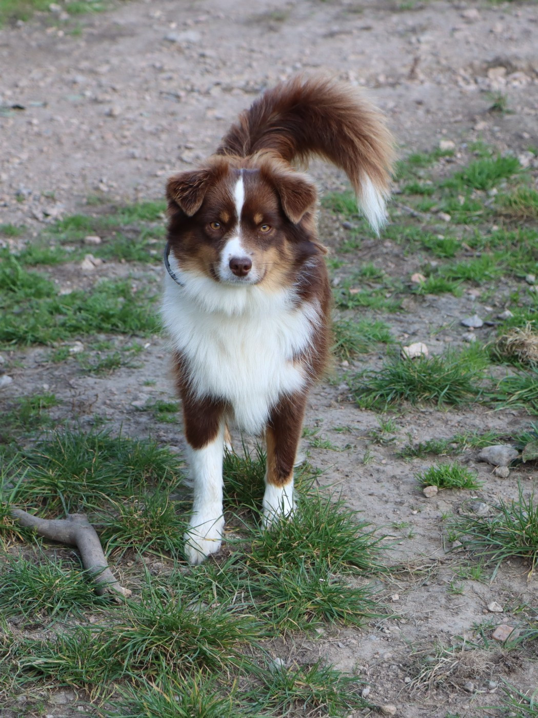 Vahiné du Domaine de la Pachamama