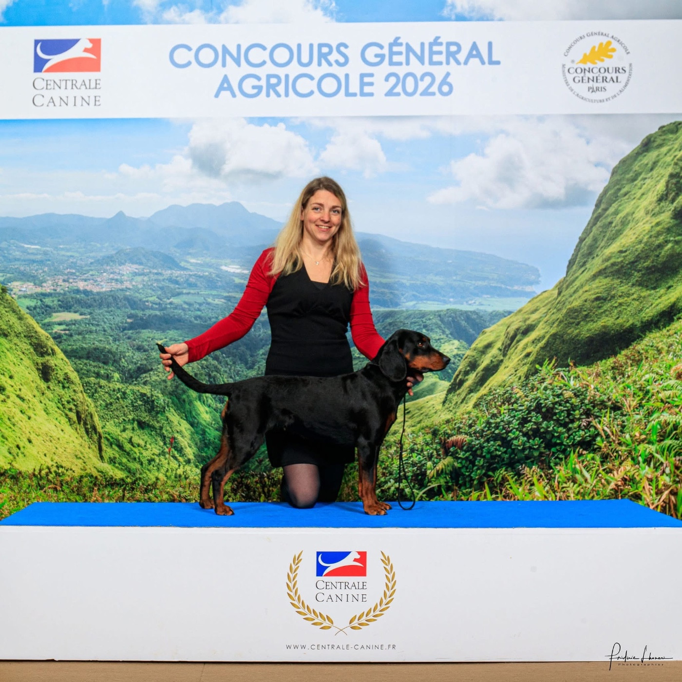 Les Chien courant slovaque de l'affixe   De La Cierna Zviera