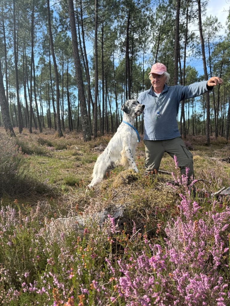 Les Setter Anglais de l'affixe   des Gorges du Regalon