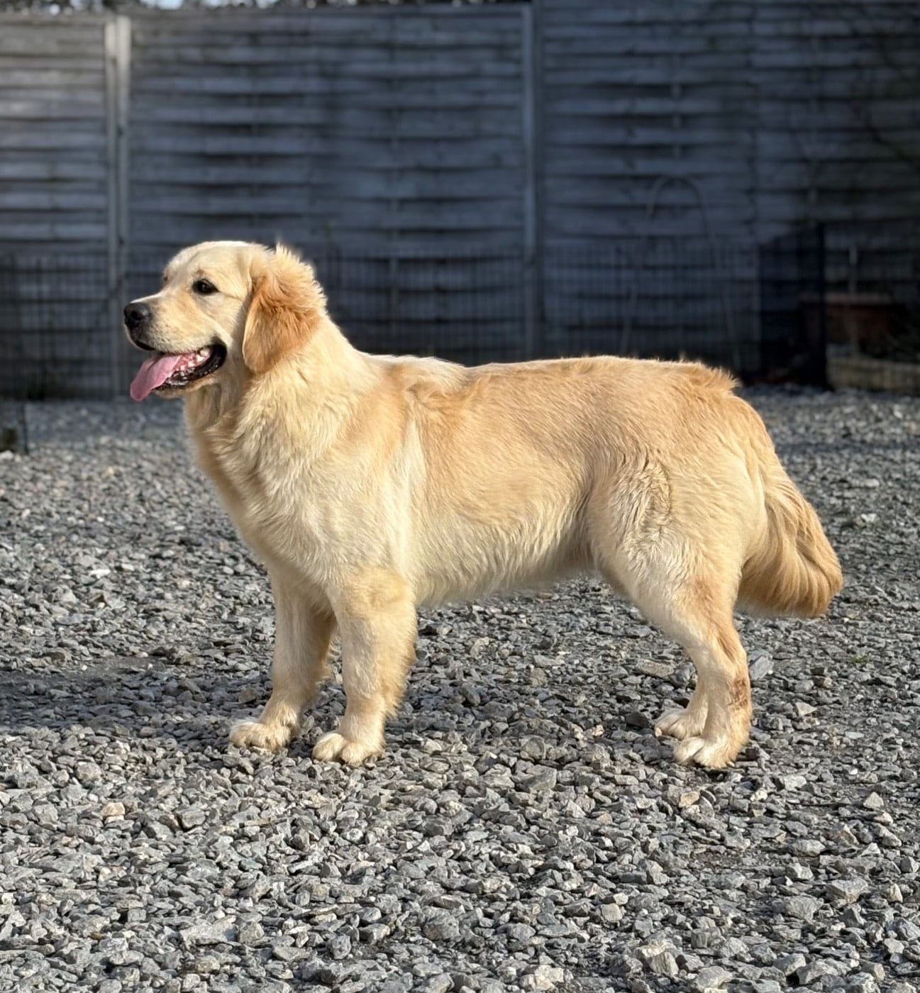 VVillow de la Gabrière