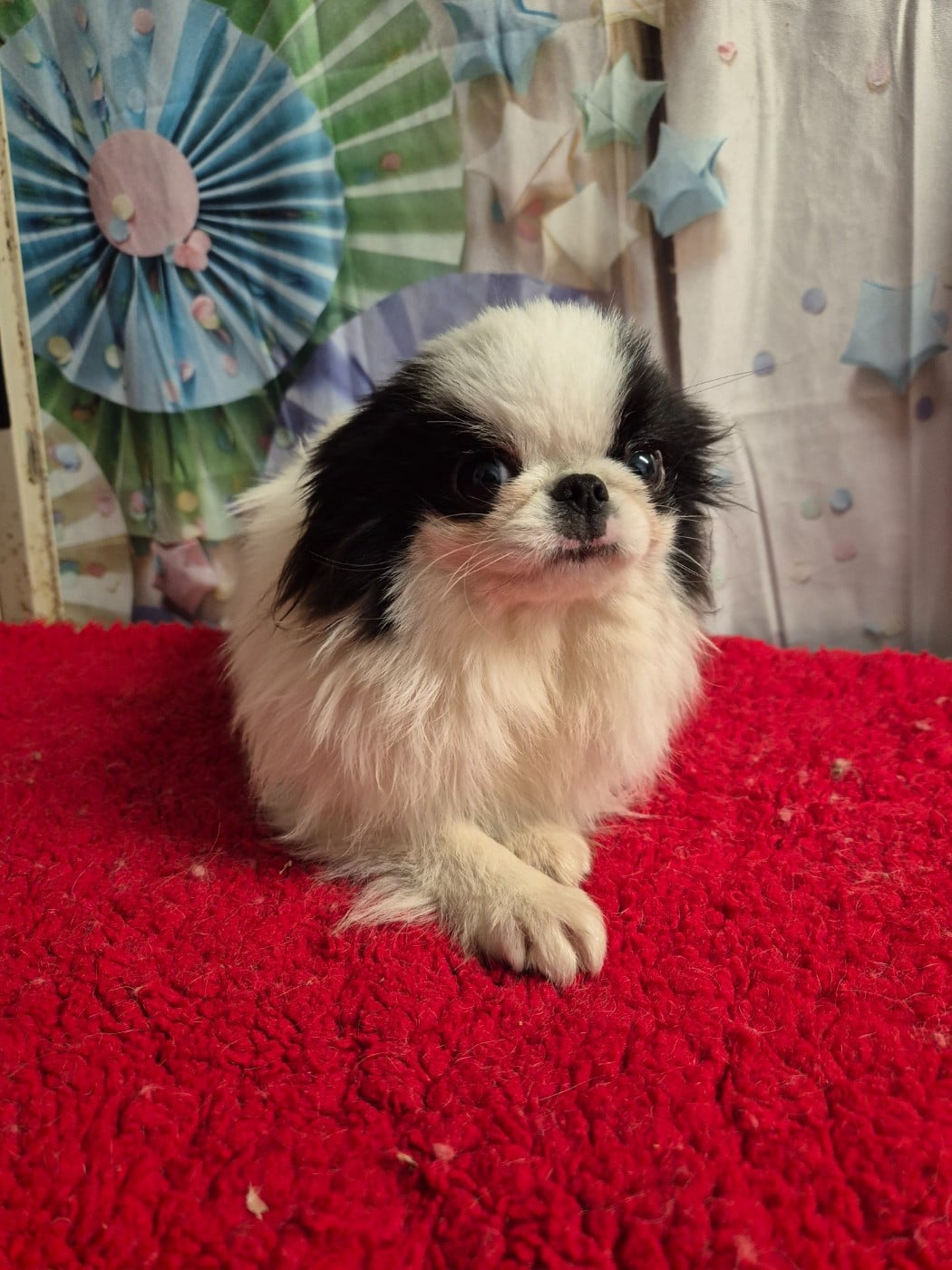 Ai De La Combe Grande