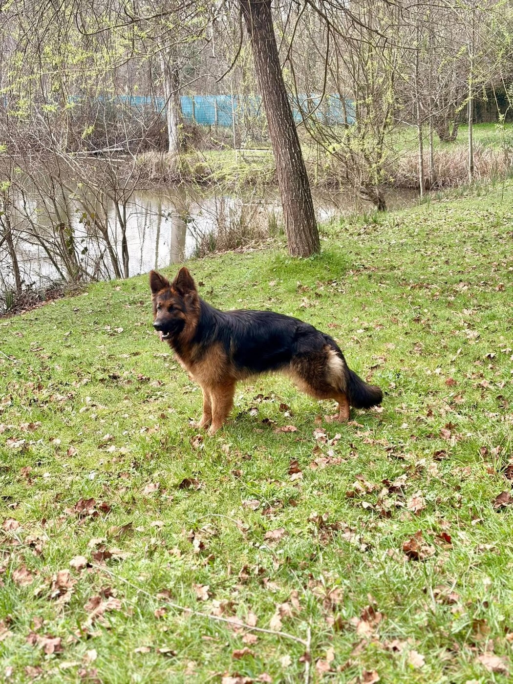 VADA Du cellier de lalande