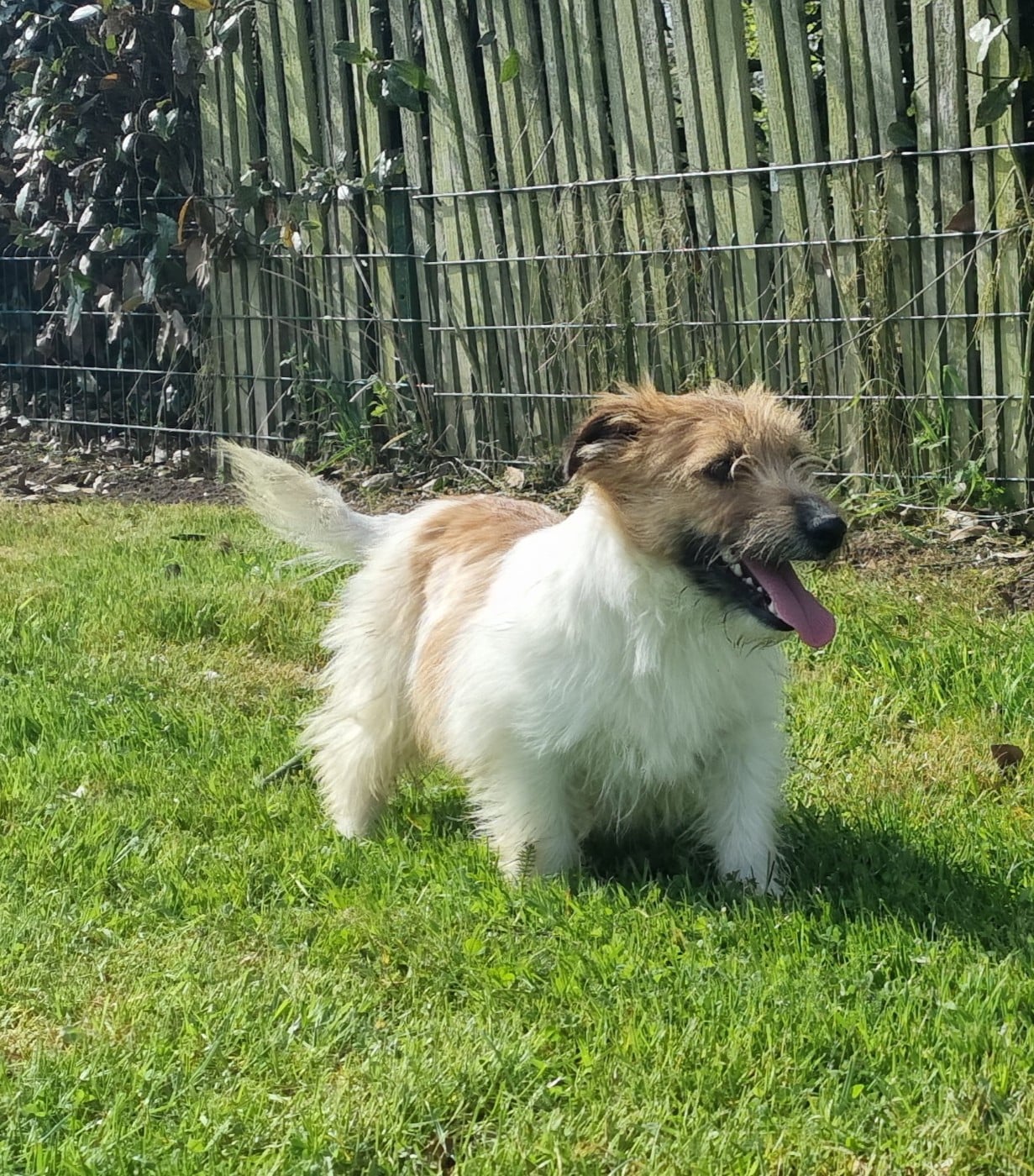 Velcro Du logis de beaumanoir