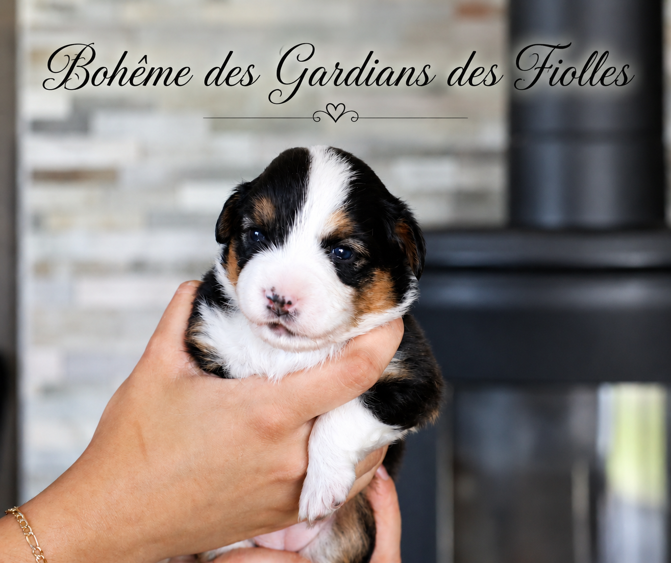 Publication : des Gardians des Fiolles  