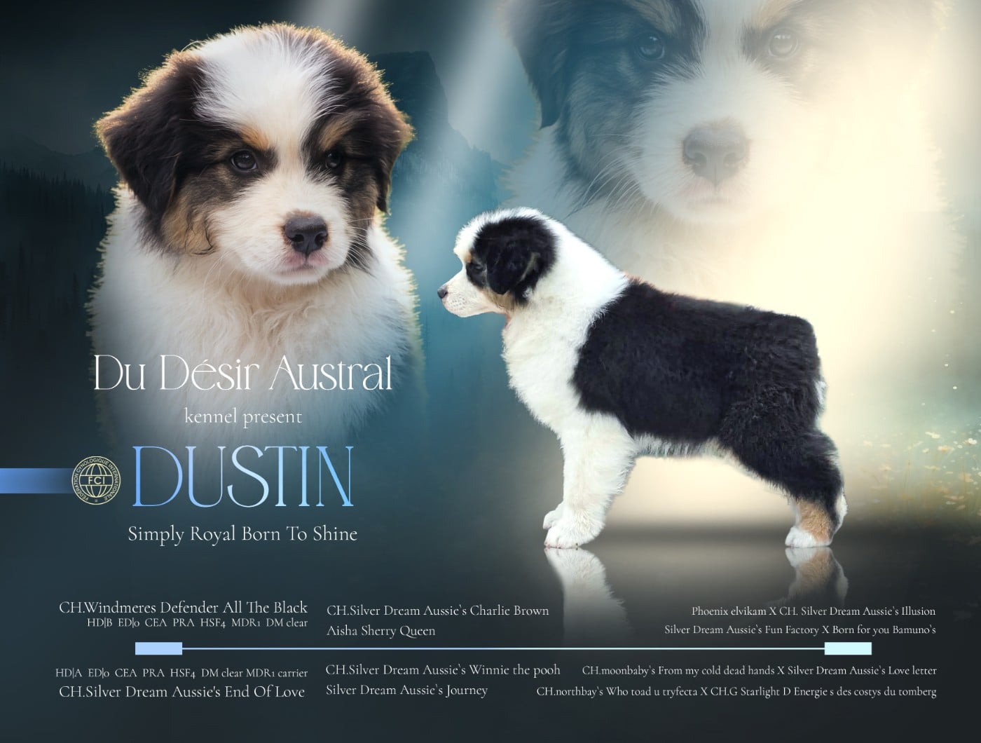 Publication : Du Désir Austral  