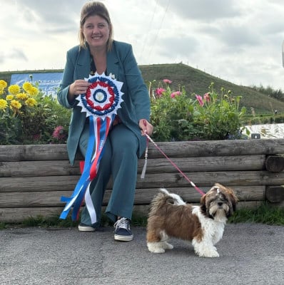 Étalon Shih Tzu - Born to be a success Du royaume de Roxane 