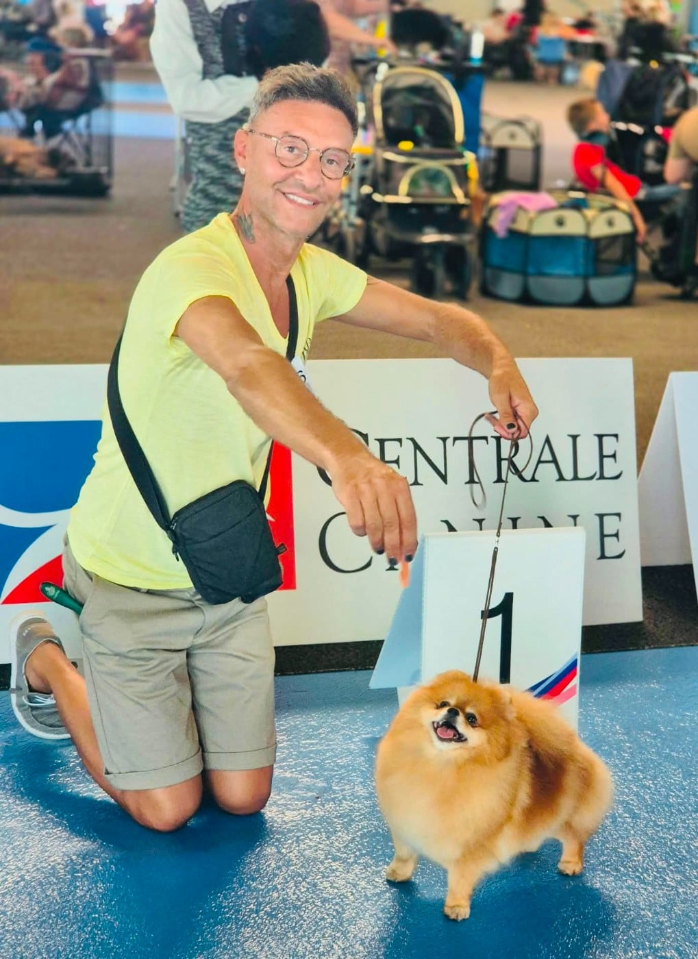 Les Spitz allemand de l'affixe   Jet Set's Blue Star