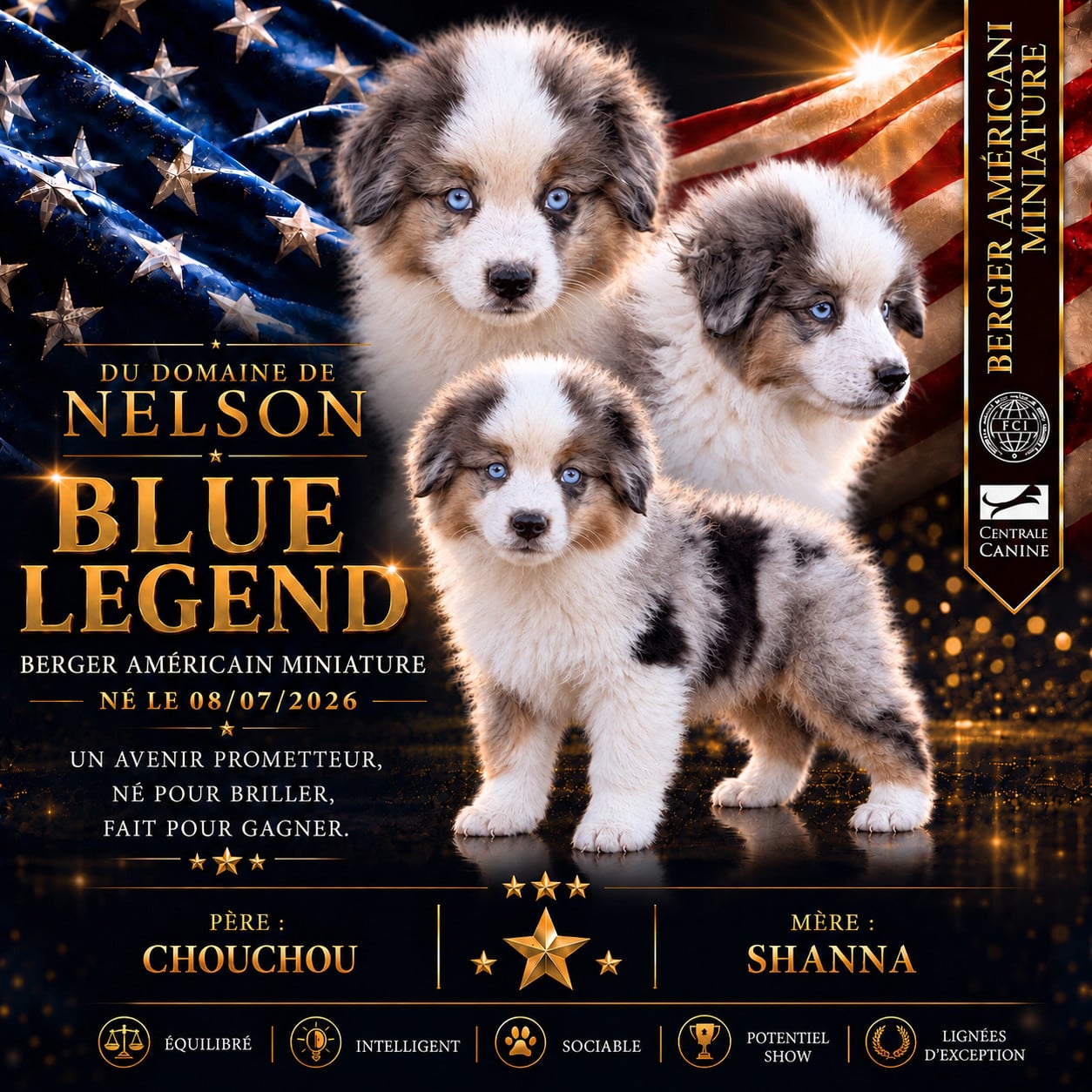 Publication : du domaine de nelson  