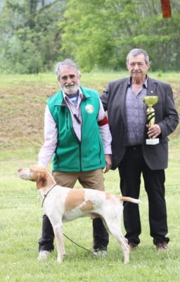 CH. Sako des hauts de rouillac