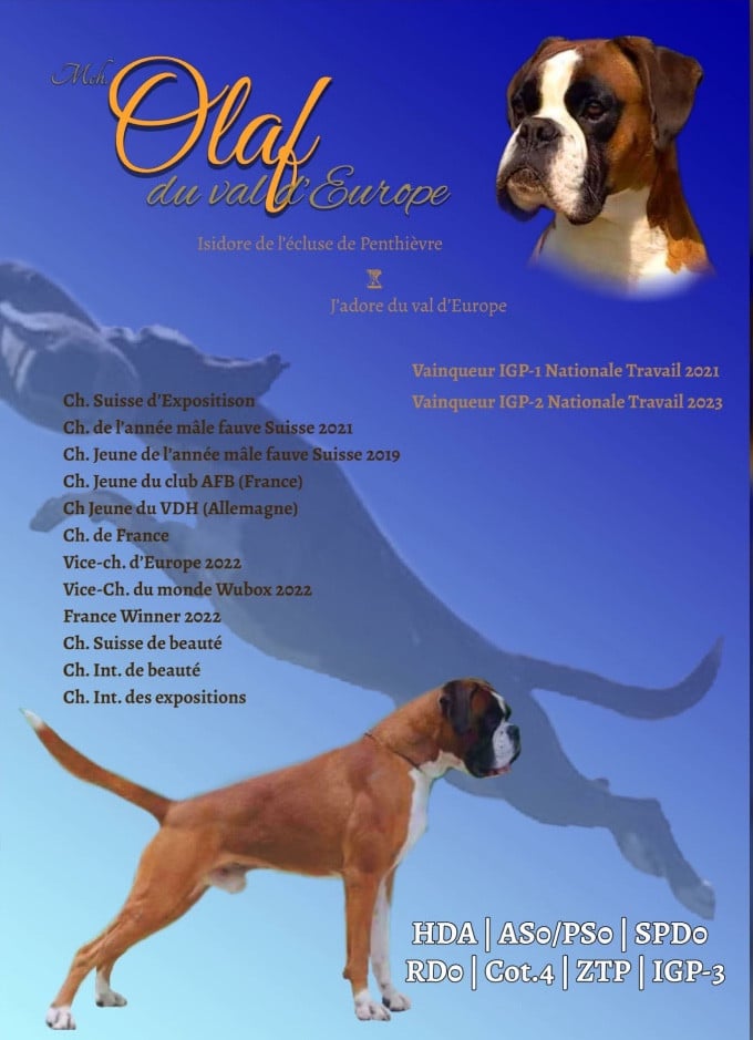 Publication : De La Tour Du Prince Noir  