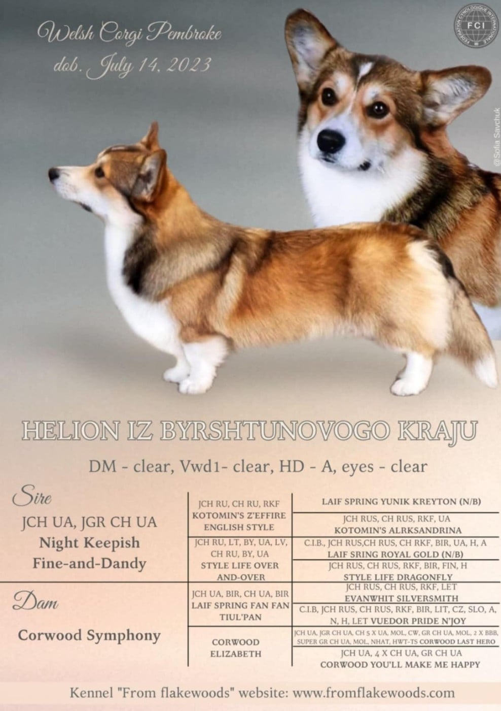 Publication : Des Crocs Du Mas  