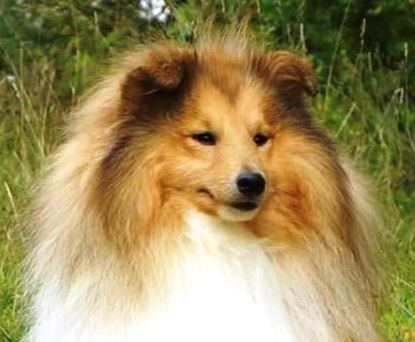 Sun Teddy's Smail Via Evad djylia's stail
