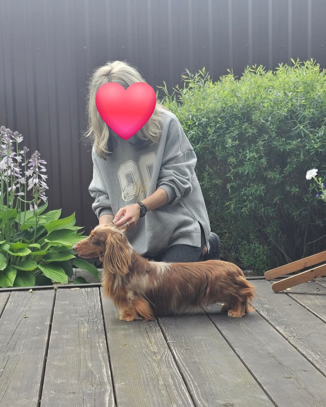 CH. Personal Angel minidogland