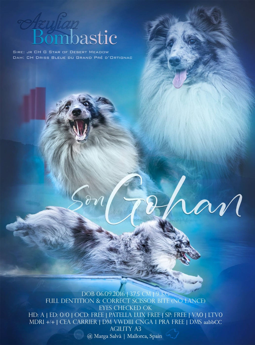 Publication : Azulian  