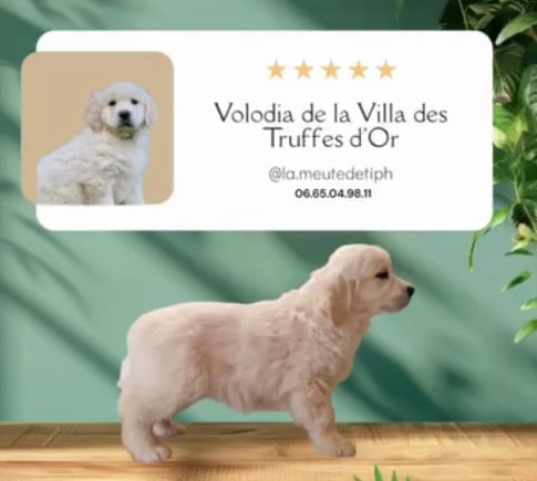 Publication : (Sans Affixe)  