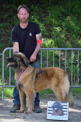 une beauté fatale des leos breizhoo Des Léos Breizhoo