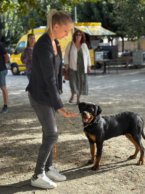 Étalon Rottweiler - BACCHUS dit PIT  de batanen