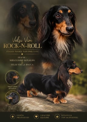 image de rock-n-roll