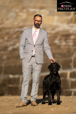 Étalon Flat Coated Retriever - CH. Dix-Huit Carats Ultra Green Lemon