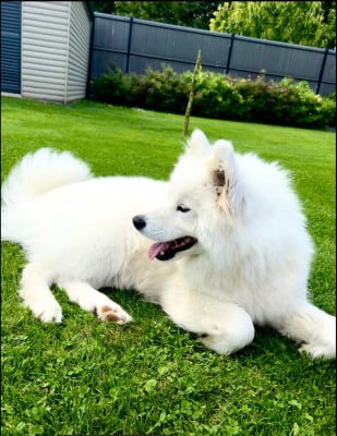 UNA dit NALA du Domaine des Oursons de Nala (Sans Affixe)