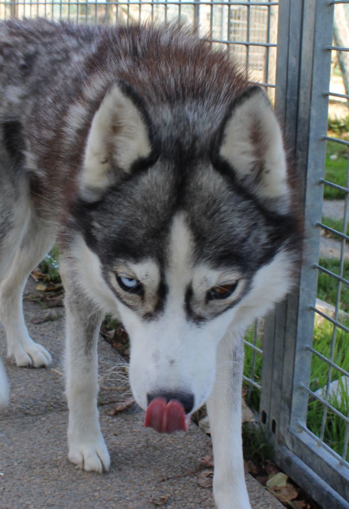 Publication : Of watson lake Auteur : of watson lake
