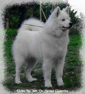 Uchu no yubi De sanna gourska