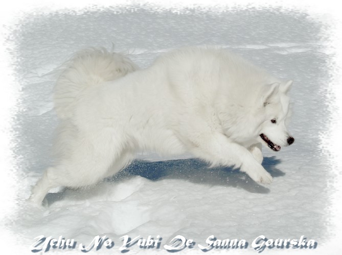 Uchu no yubi De sanna gourska