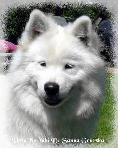 Uchu no yubi De sanna gourska