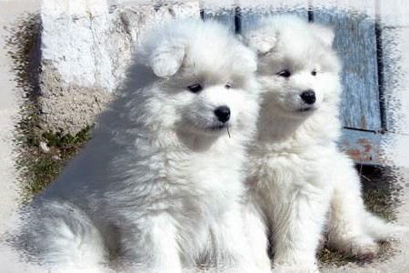 Uchu no yubi De sanna gourska