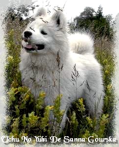 Uchu no yubi De sanna gourska