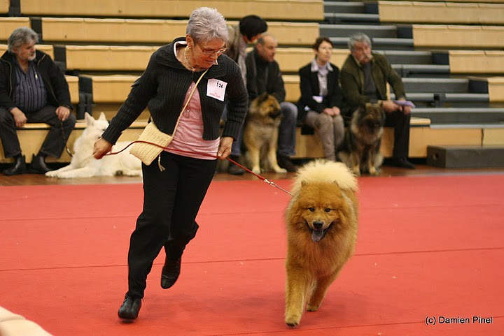 CH. Baslak des Legendes de Retz