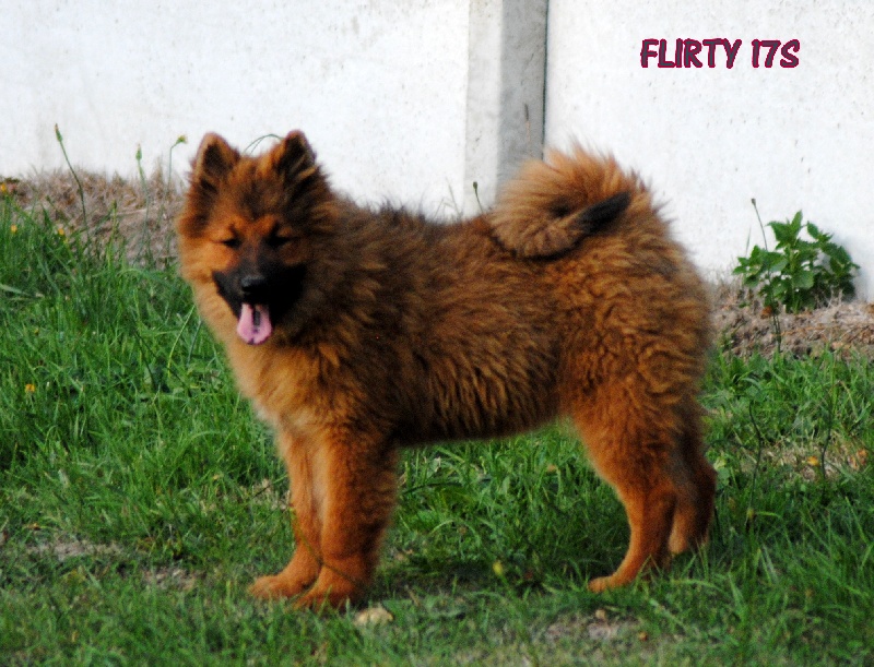 Flirty des Legendes de Retz