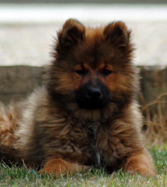 Flirty des Legendes de Retz