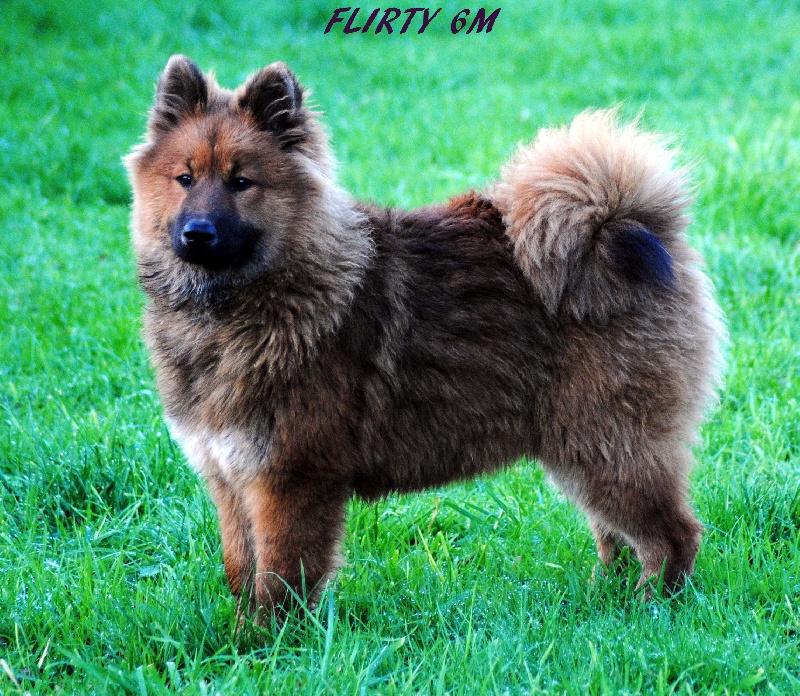 Flirty des Legendes de Retz