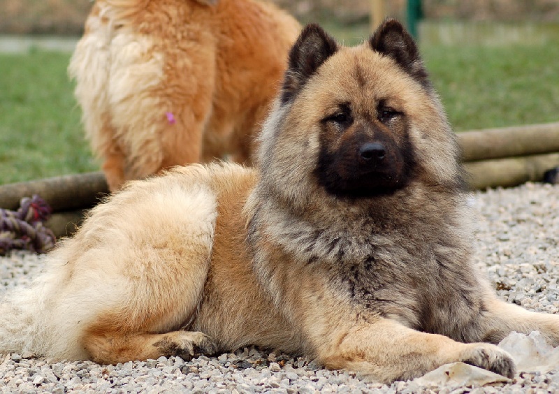 Athos des Legendes de Retz