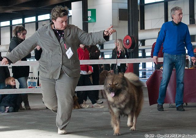 CH. Doubai des Legendes de Retz