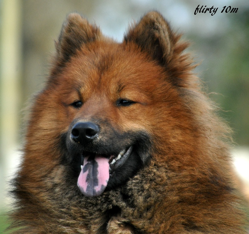 Flirty des Legendes de Retz