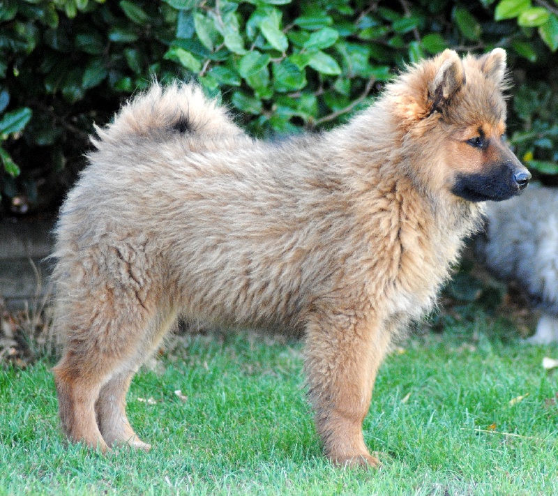 Flirty des Legendes de Retz