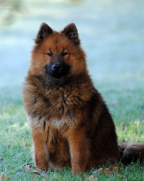 Flirty des Legendes de Retz