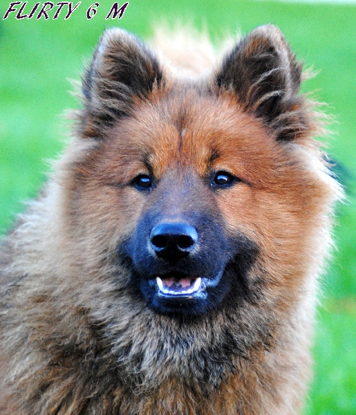 Flirty des Legendes de Retz