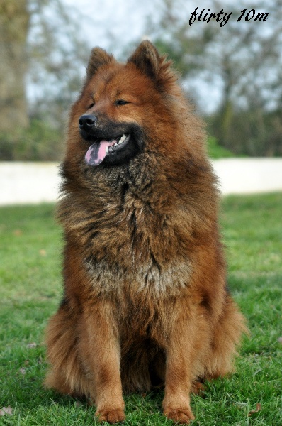 Flirty des Legendes de Retz