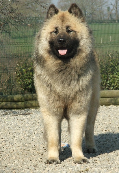 Athos des Legendes de Retz