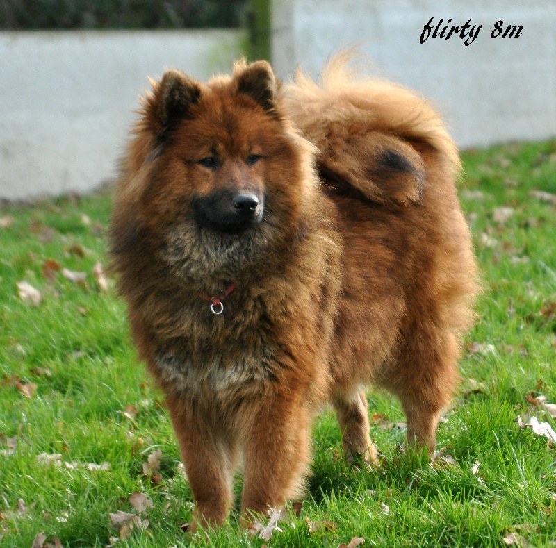 Flirty des Legendes de Retz