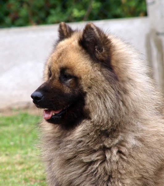 Athos des Legendes de Retz