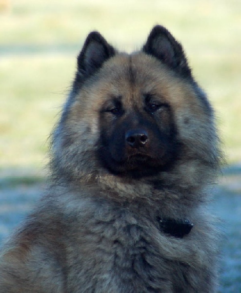 Athos des Legendes de Retz