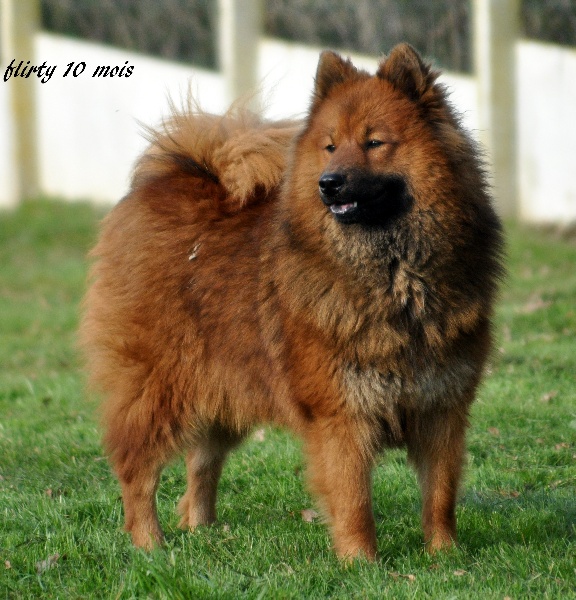 Flirty des Legendes de Retz