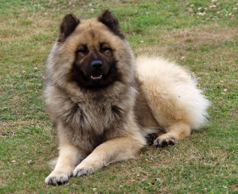 Athos des Legendes de Retz